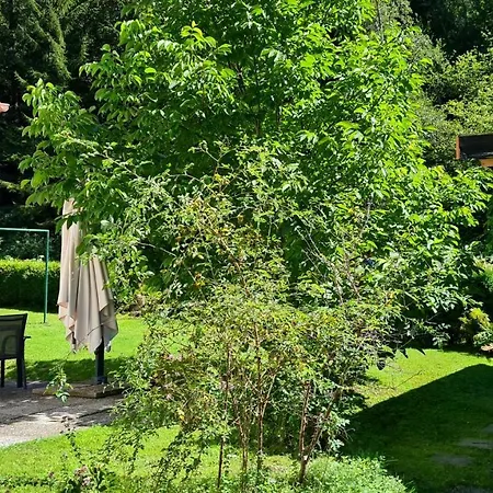 شاليه Amthumersbach *